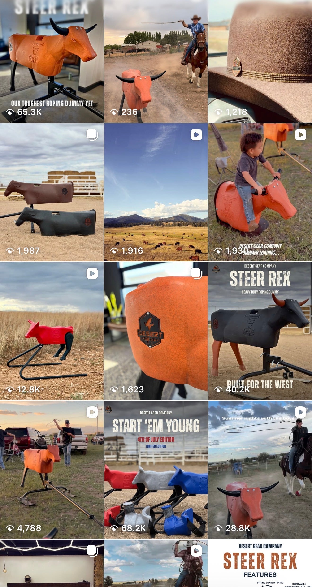 A 12x3 grid collage showing multiple outdoor photos of steer riding toys and branded marketing imagery. The collage includes orange steer-shaped riding animals, black steer targets, a cowboy riding a horse, a large brown hat, and several text overlays such as 'STEER REX,' 'BUILT FOR THE WEST,' 'START 'EM YOUNG,' and 'STEER REX FEATURES.