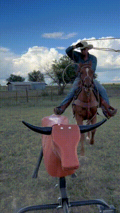 THE STEER REX IN ACTION