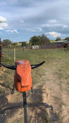 THE STEER REX IN ACTION