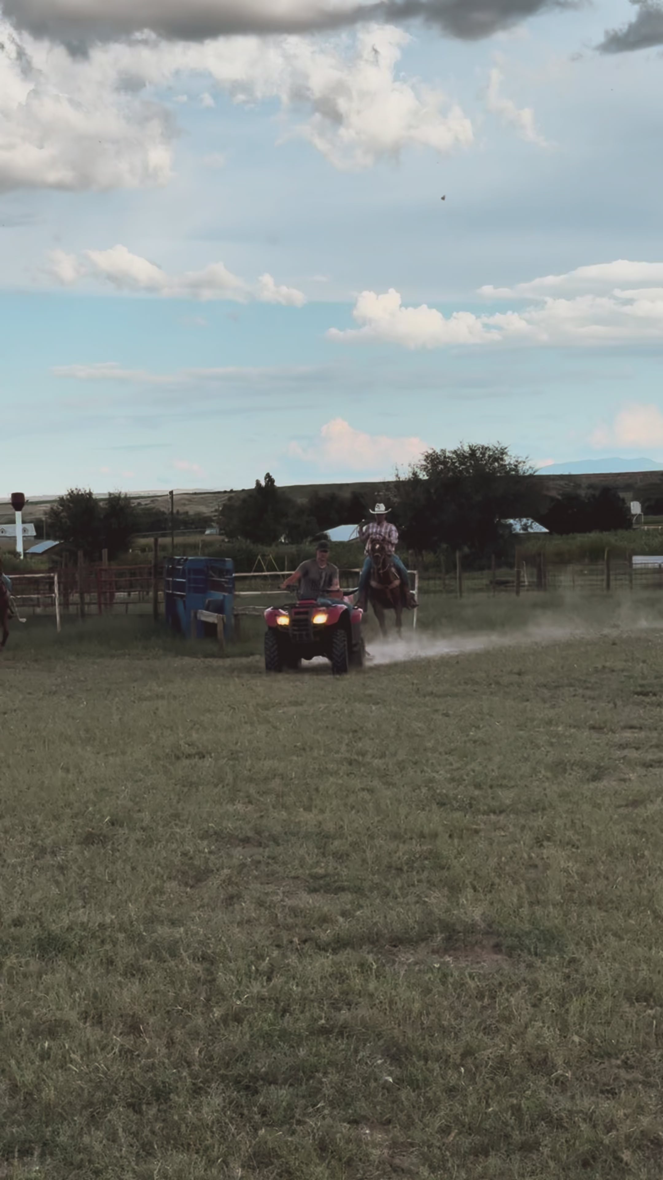 Load video: Steer Rex roping dummy pulled by a four wheeler in arena